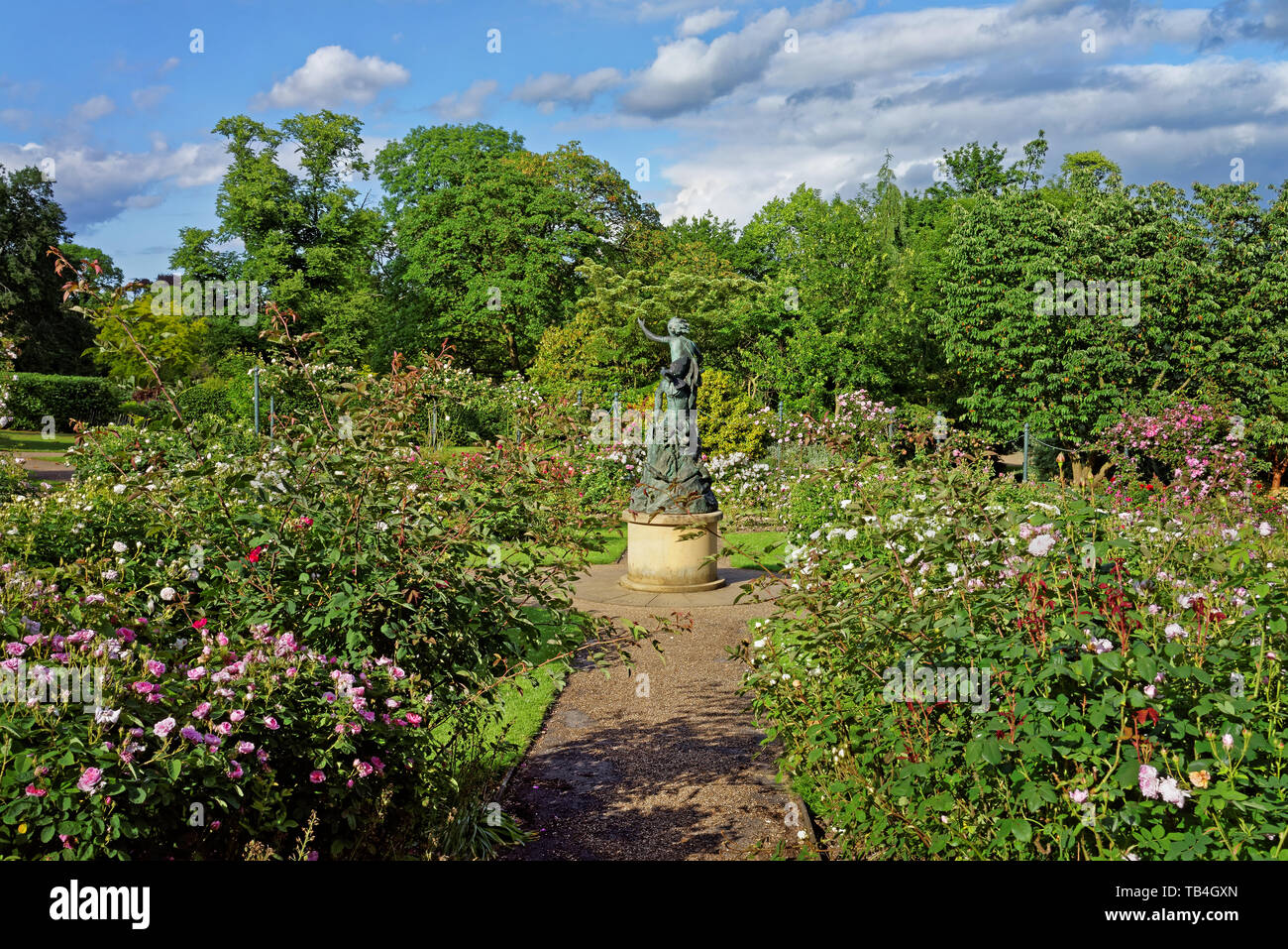 UK,South Yorkshire,Sheffield,Botanical Gardens,Rose Garden et Pan à l'esprit de la Statue de bois Banque D'Images