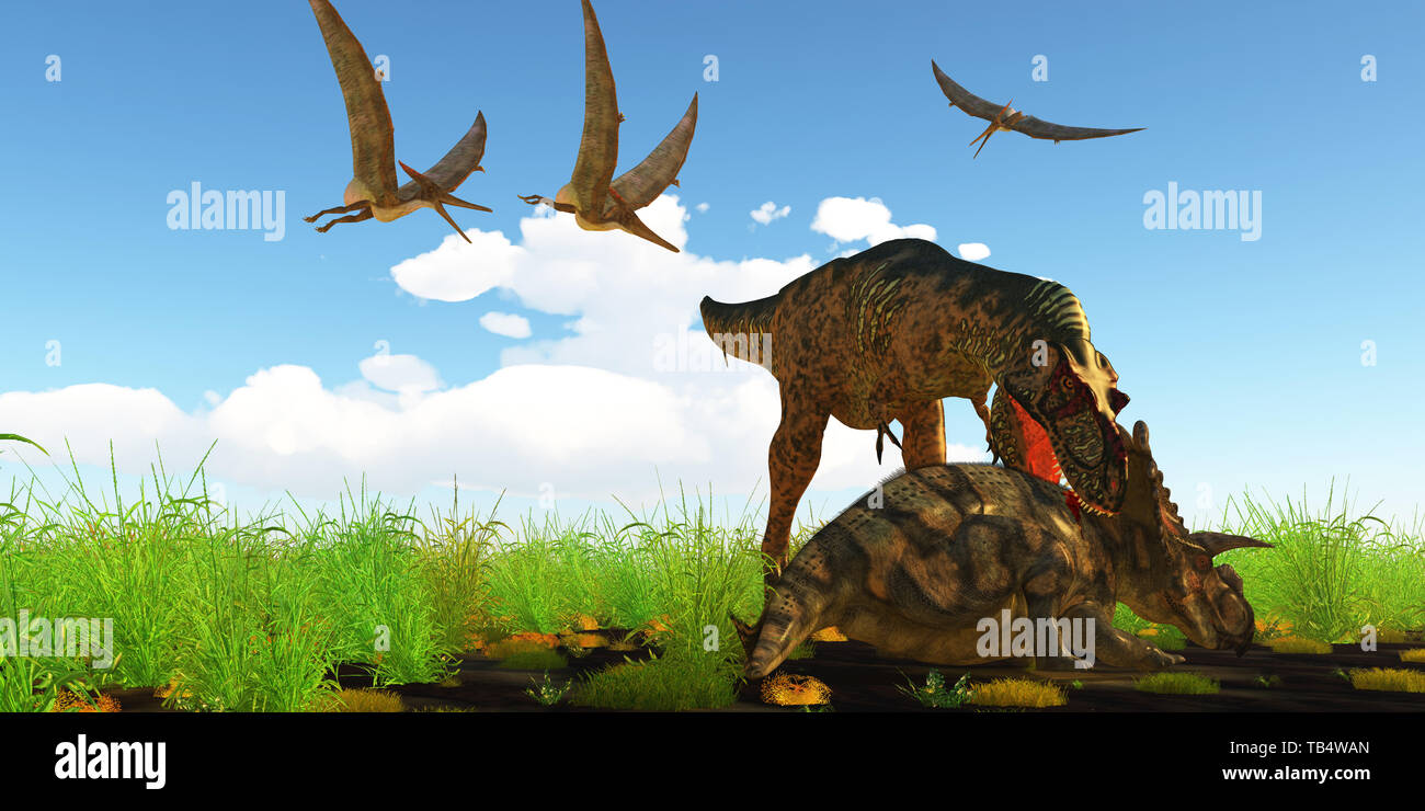 Avec un cercle vicieux d'une morsure au cou des attaques l'Albertosaurus Albertaceratops pour désactiver le dinosaure comme Pteranodons survoler comme des vautours. Banque D'Images