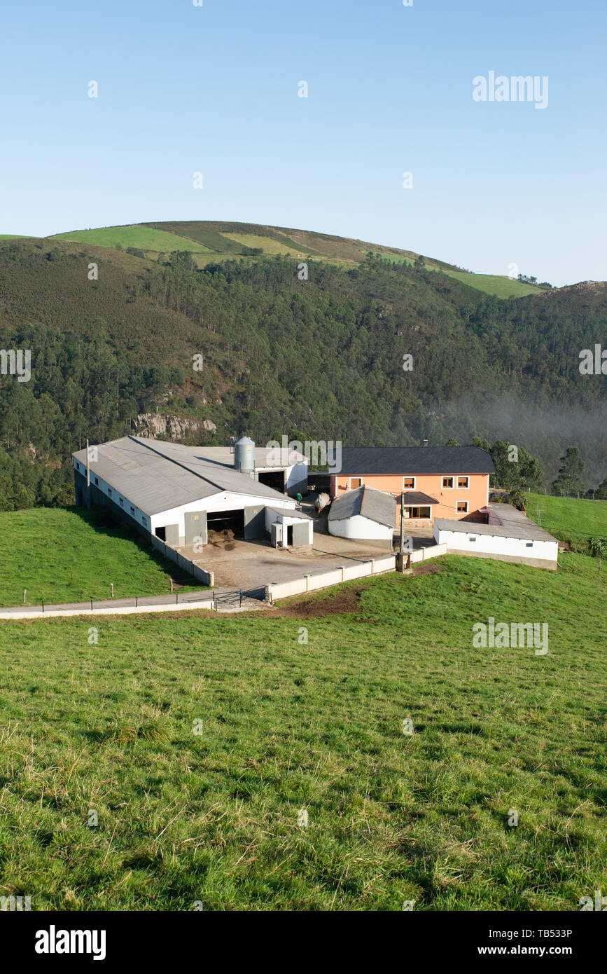 Farmen Getrennte in einer Gebirgslandschaft dans Near Asturias, Espagne. / Les fermes isolées dans un paysage montagneux dans les Asturies, en Espagne. Banque D'Images