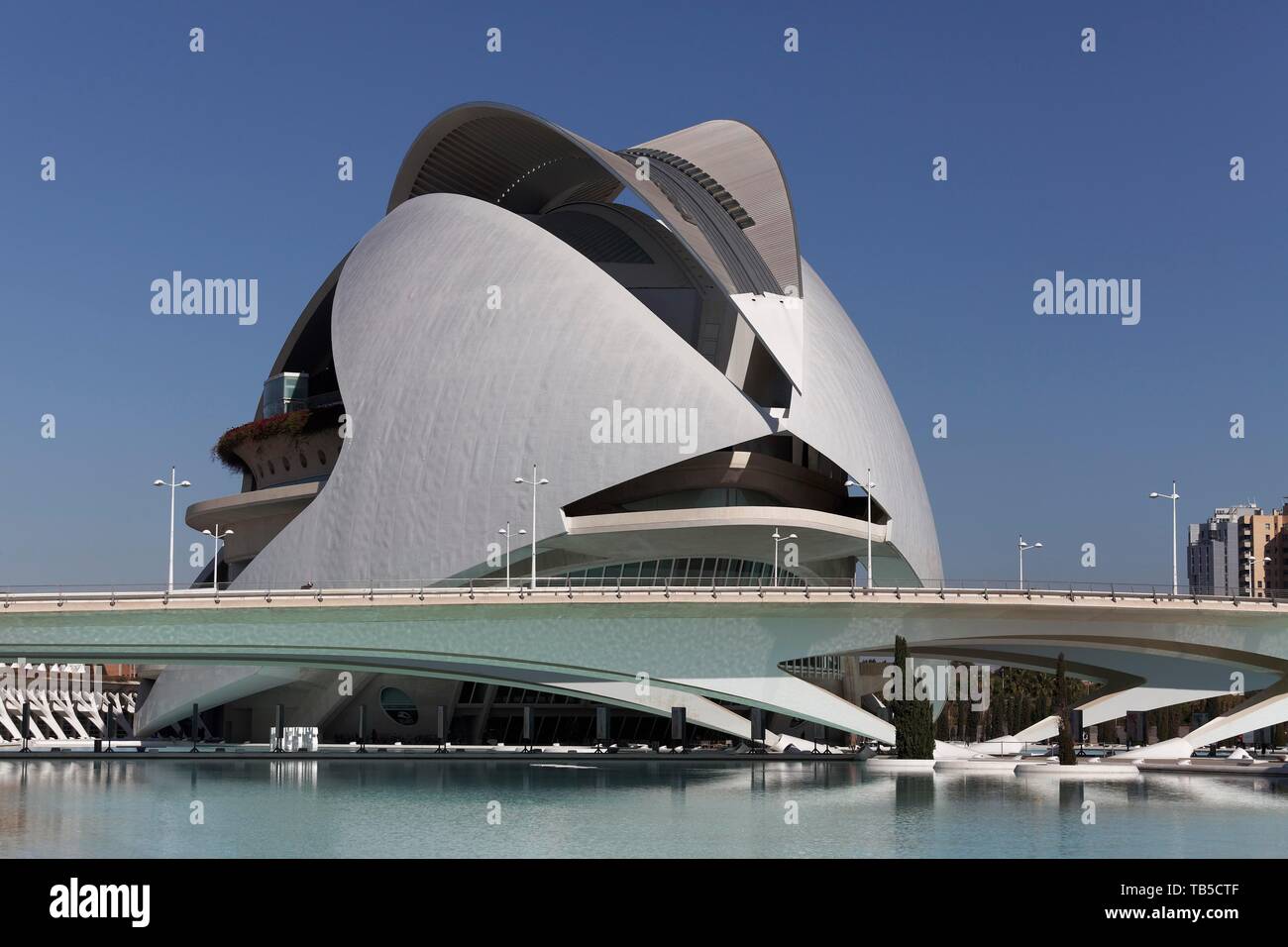 L'opéra, Palau de les Arts de la Reine Sofia, ACE, Ciudad de las Artes y de las Ciencias, architecte Santiago Calatrava, Valencia, Espagne Banque D'Images
