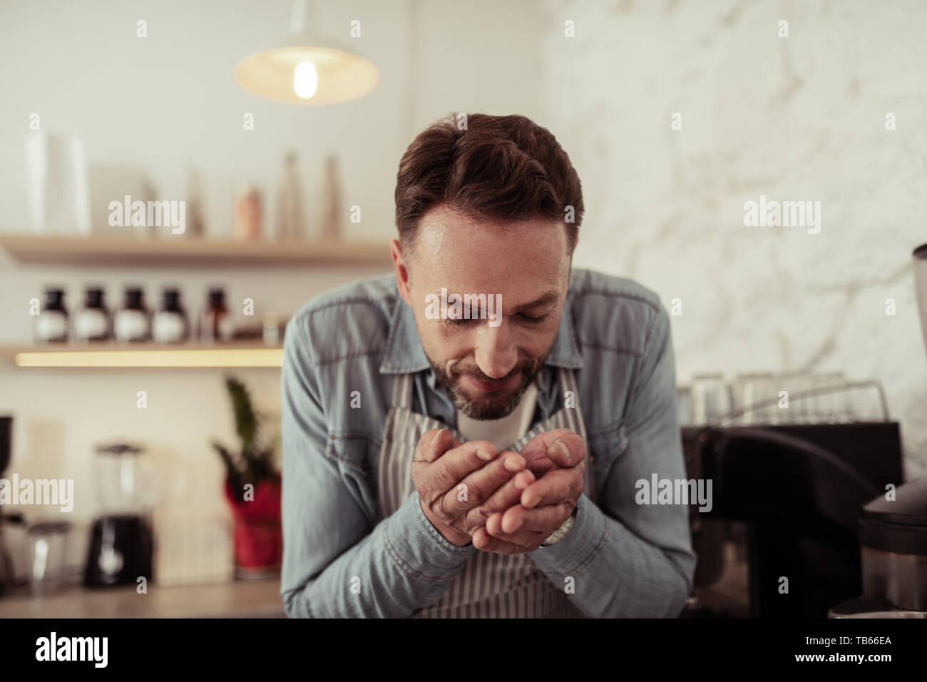 Aimez votre travail. Smiling cafe odeur propriétaire du café fraîchement torréfié haricots dans ses mains. Banque D'Images