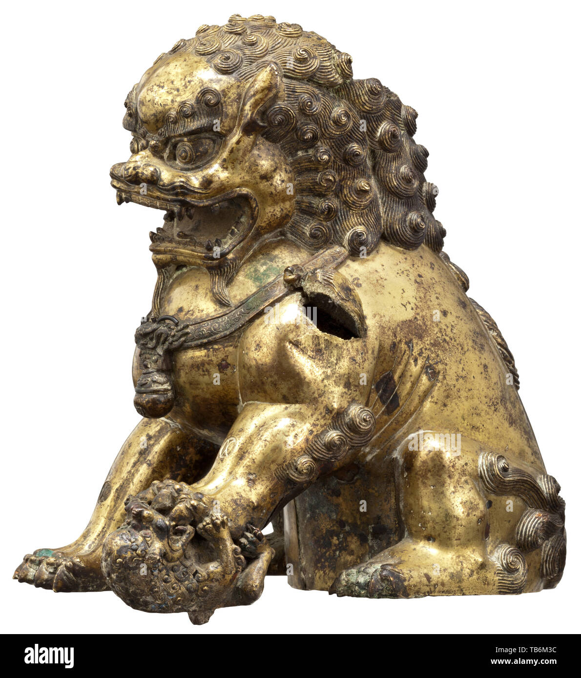 Une lionne en bronze doré (bouddhiste gardien lion) - la dynastie Qing, xviiie siècle, en bronze doré, incendie, marqués et gravés. La créature mythique superbement travaillé assis sur ses pattes arrières, la tête couverte d'une épaisse crinière de boucles dix, le corps robuste également recouvert de fourrure, le visage avec une expression sauvage, sa bouche grande ouverte pour révéler bared les dents, au-dessus duquel yeux exorbités et sourcils broussailleux, une cloche et glands suspendus à un ruban noué autour de la large poitrine, la patte gauche interdisant à son petit sur le terrain. Les pattes avant et l'arrière un roulement , Additional-Rights Clearance-Info-Not-Available- Banque D'Images