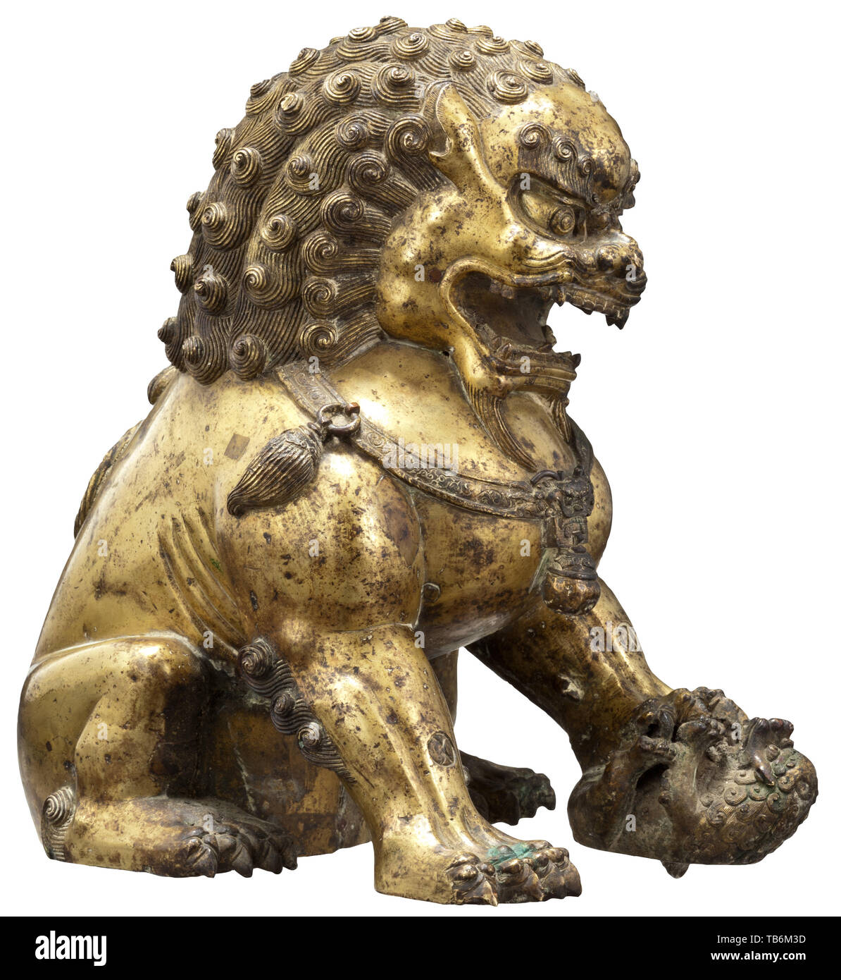 Une lionne en bronze doré (bouddhiste gardien lion) - la dynastie Qing, xviiie siècle, en bronze doré, incendie, marqués et gravés. La créature mythique superbement travaillé assis sur ses pattes arrières, la tête couverte d'une épaisse crinière de boucles dix, le corps robuste également recouvert de fourrure, le visage avec une expression sauvage, sa bouche grande ouverte pour révéler bared les dents, au-dessus duquel yeux exorbités et sourcils broussailleux, une cloche et glands suspendus à un ruban noué autour de la large poitrine, la patte gauche interdisant à son petit sur le terrain. Les pattes avant et l'arrière un roulement , Additional-Rights Clearance-Info-Not-Available- Banque D'Images Une lionne en bronze doré (bouddhiste gardien lion) - la dynastie Qing, xviiie siècle, en bronze doré, incendie, marqués et gravés. La créature mythique superbement travaillé assis sur ses pattes arrières, la tête couverte d'une épaisse crinière de boucles dix, le corps robuste également recouvert de fourrure, le visage avec une expression sauvage, sa bouche grande ouverte pour révéler bared les dents, au-dessus duquel yeux exorbités et sourcils broussailleux, une cloche et glands suspendus à un ruban noué autour de la large poitrine, la patte gauche interdisant à son petit sur le terrain. Les pattes avant et l'arrière un roulement , Additional-Rights Clearance-Info-Not-Available- Banque D'Images