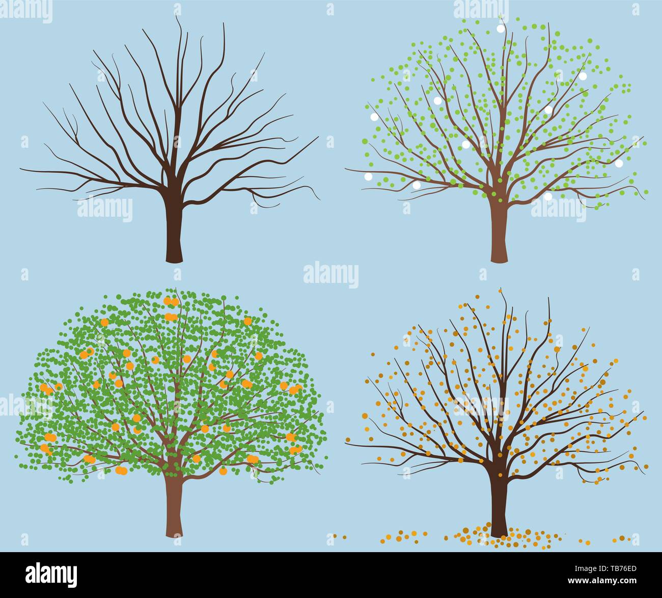 Vector illustration. Saison arbre. Sec, s'épanouir avec feuilles et fruits Illustration de Vecteur