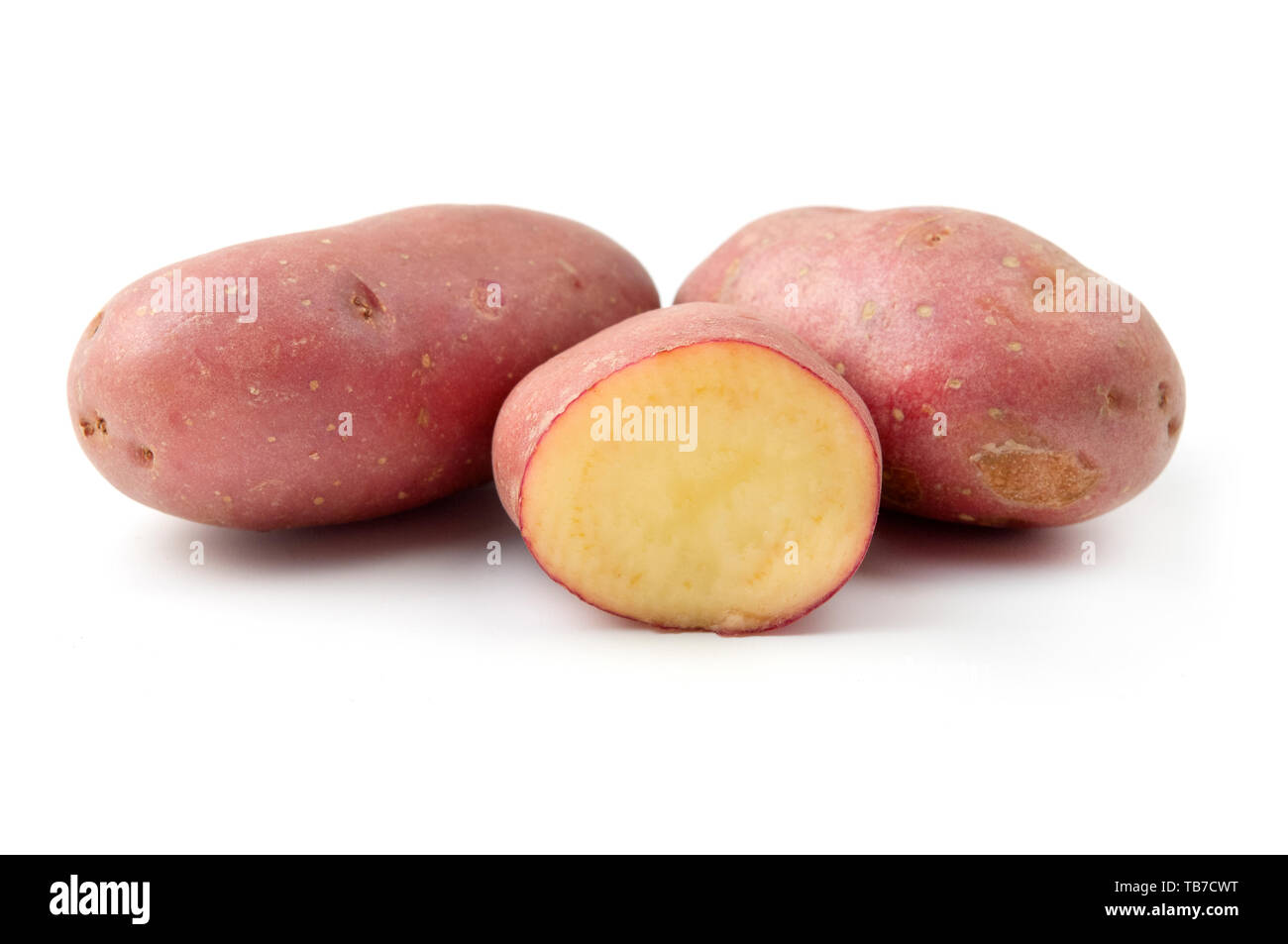 Cherie Pommes de terre (Solanum tuberosum) sur un fond blanc Banque D'Images