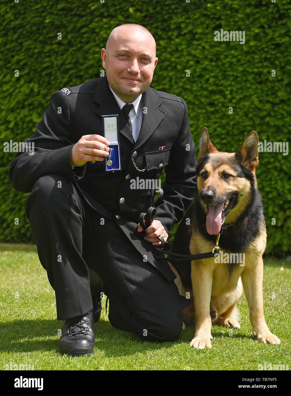 Marci, chien de police avec son PC gestionnaire Neil Billany, à l'Honorable Artillery Company à Londres la réception de l'APSS l'Ordre du mérite. Dix-neuf chiens policiers héros reçoivent une bourse pour aider les services d'urgence au cours de la 2017 attentats terroristes à Londres Westminster Bridge, London Bridge et Borough Market. Banque D'Images