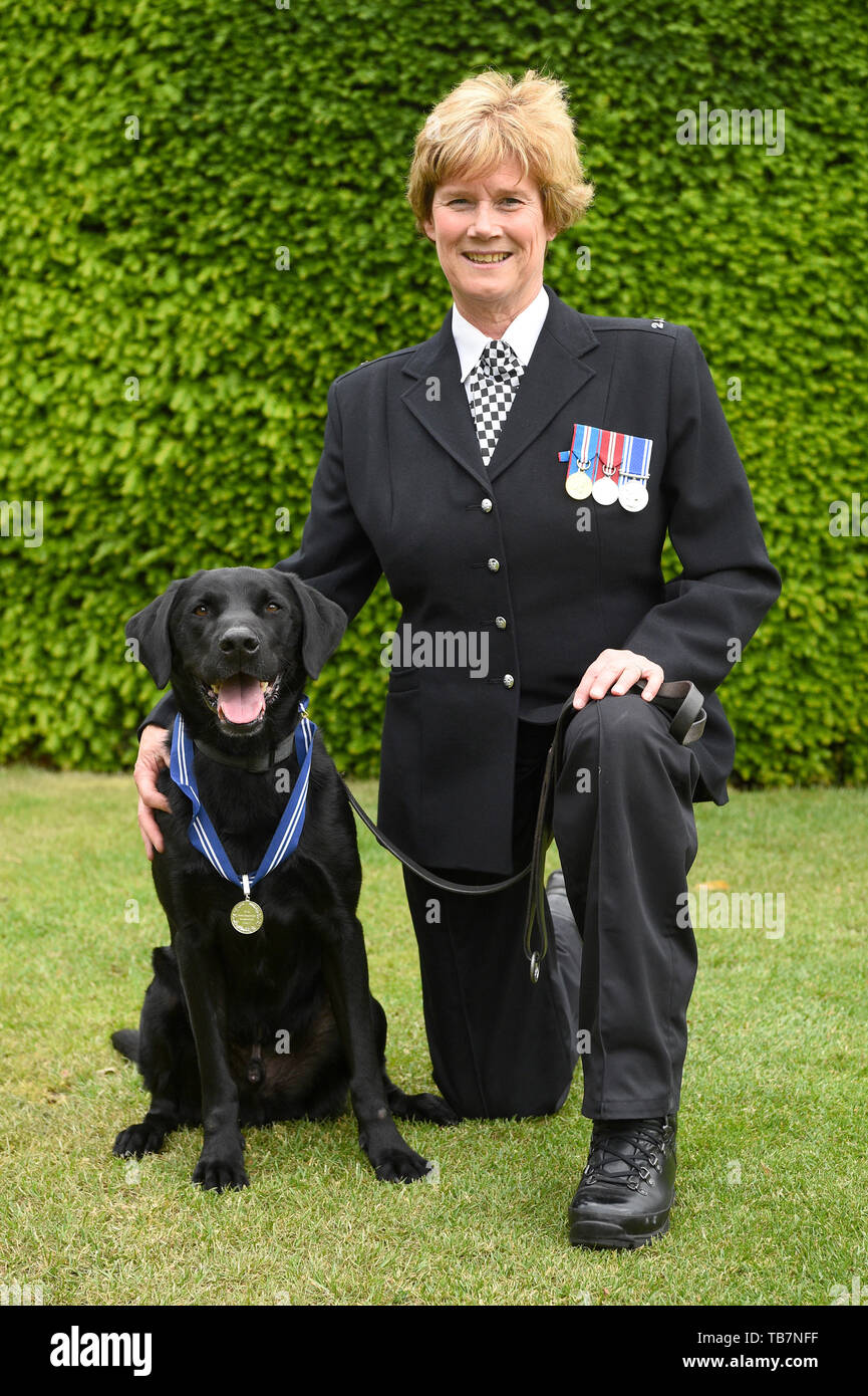 Chien de police, Oscar avec son maître PC Nikki Gibbins, à l'Honorable Artillery Company à Londres la réception de l'APSS l'Ordre du mérite. Dix-neuf chiens policiers héros reçoivent une bourse pour aider les services d'urgence au cours de la 2017 attentats terroristes à Londres Westminster Bridge, London Bridge et Borough Market. Banque D'Images