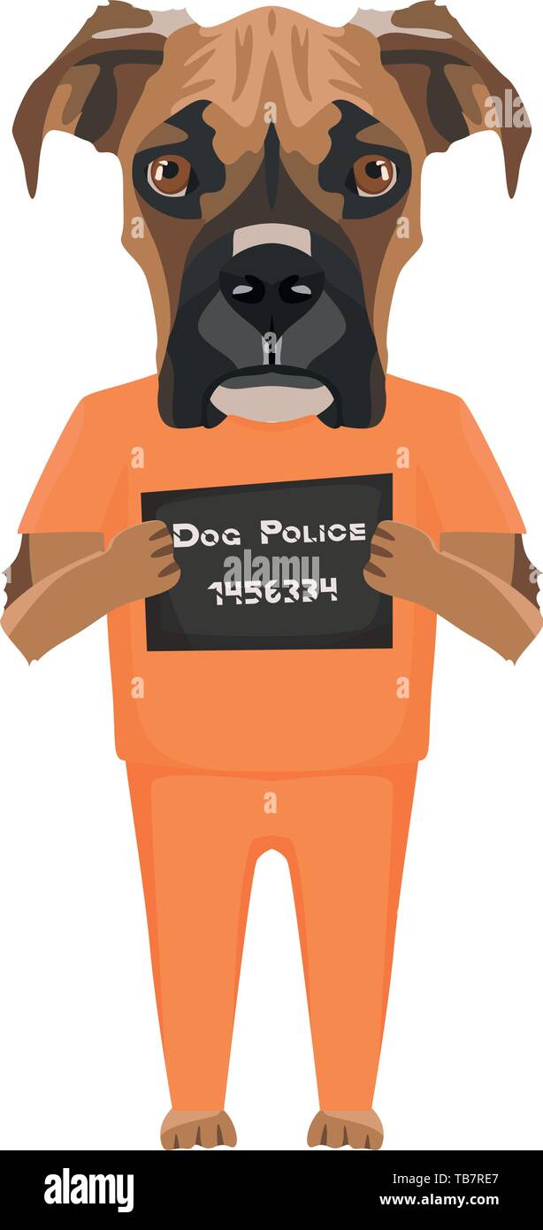 Photo Police uniforme pénitentiaire de l'électroniques de Boxer - chien coupable. Le petit chien peut être ​​Eyes en colère pas de chien. Illustration de Vecteur