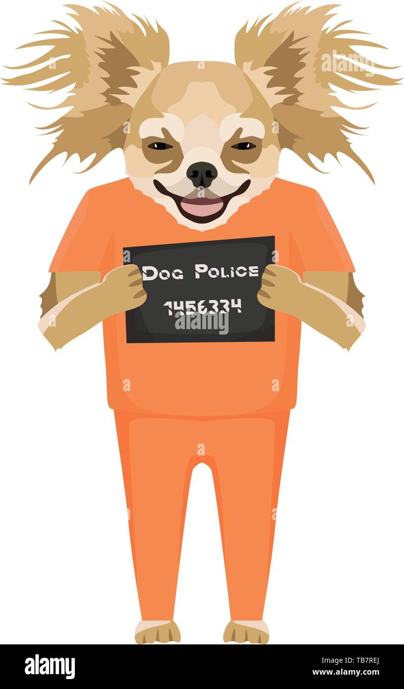 Photo Police vêtements de prison de l'électroniques de Chihuahua - chien coupable. Le petit chien peut être ​​Eyes en colère pas de chien. Illustration de Vecteur