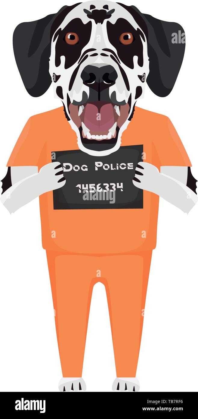 Photo Police uniforme pénitentiaire - dalmate de l'électroniques de chien coupable. Le petit chien peut être ​​Eyes en colère pas de chien. Illustration de Vecteur