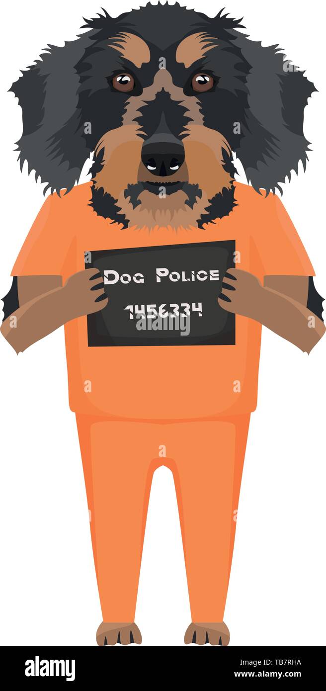 Photo Police vêtements prison - de l'électroniques de teckel chien coupable. Le petit chien peut être ​​Eyes en colère pas de chien. Illustration de Vecteur