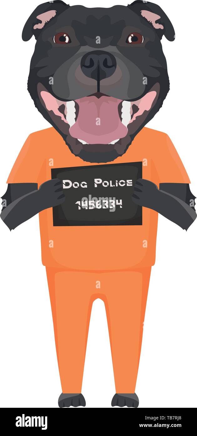 Photo Police uniforme pénitentiaire Staffordshire Bull Terrier - chien de l'électroniques de coupable. Le petit chien peut être ​​Eyes en colère pas de chien. Illustration de Vecteur