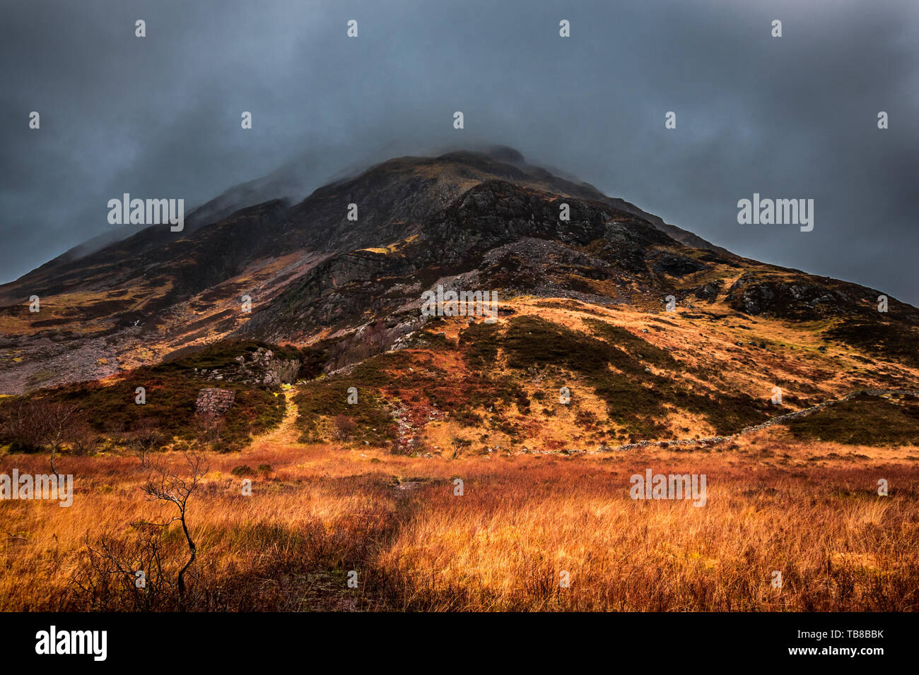 Un moody vue d'un rocky mountain à Glencoe, rouge et orange avec herbes et fougères de la vallée. L'Écosse. Banque D'Images