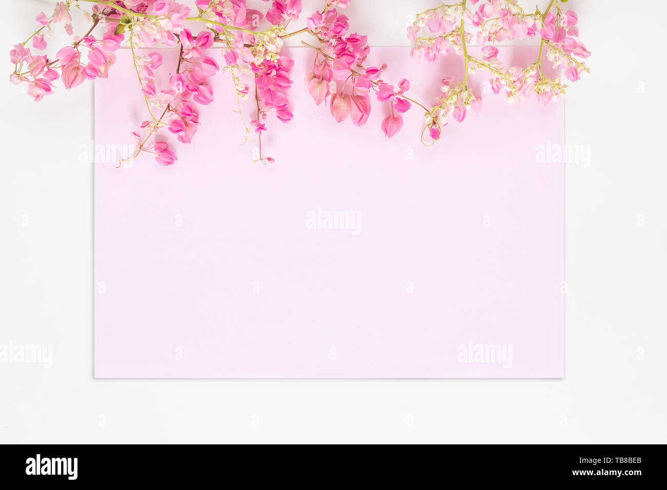 Mise à plat des fleurs rose pastel rose sur carte d'invitation isolé sur fond blanc. Le concept d'invitation floral Banque D'Images