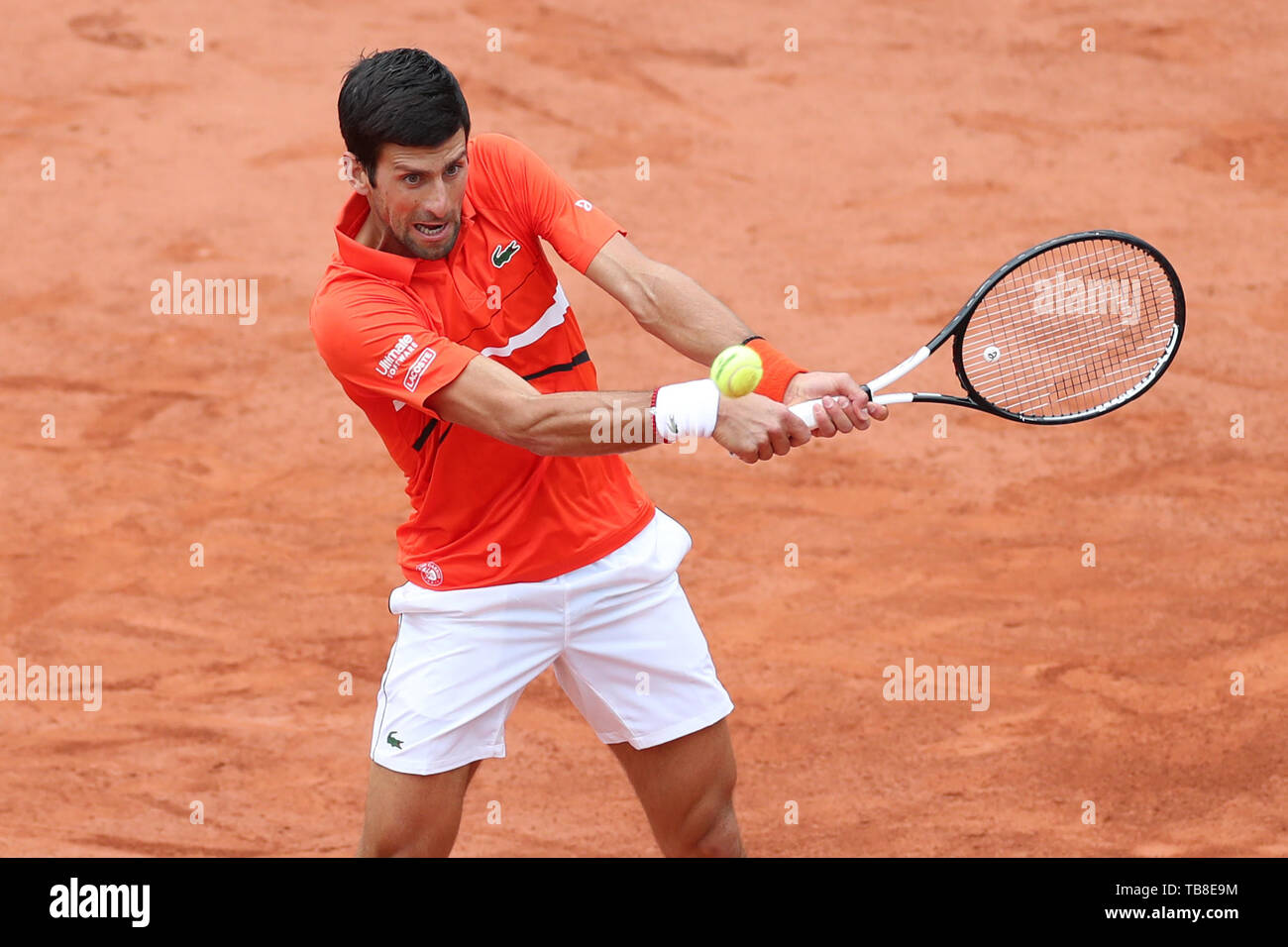 Paris, France 30 mai. Novak Djokovic (SRB) lors de l'Open de France de Tennis au Stade Roland-Garros, Paris le jeudi 30 mai 2019. (Crédit : Jon Bromley | MI News) Banque D'Images