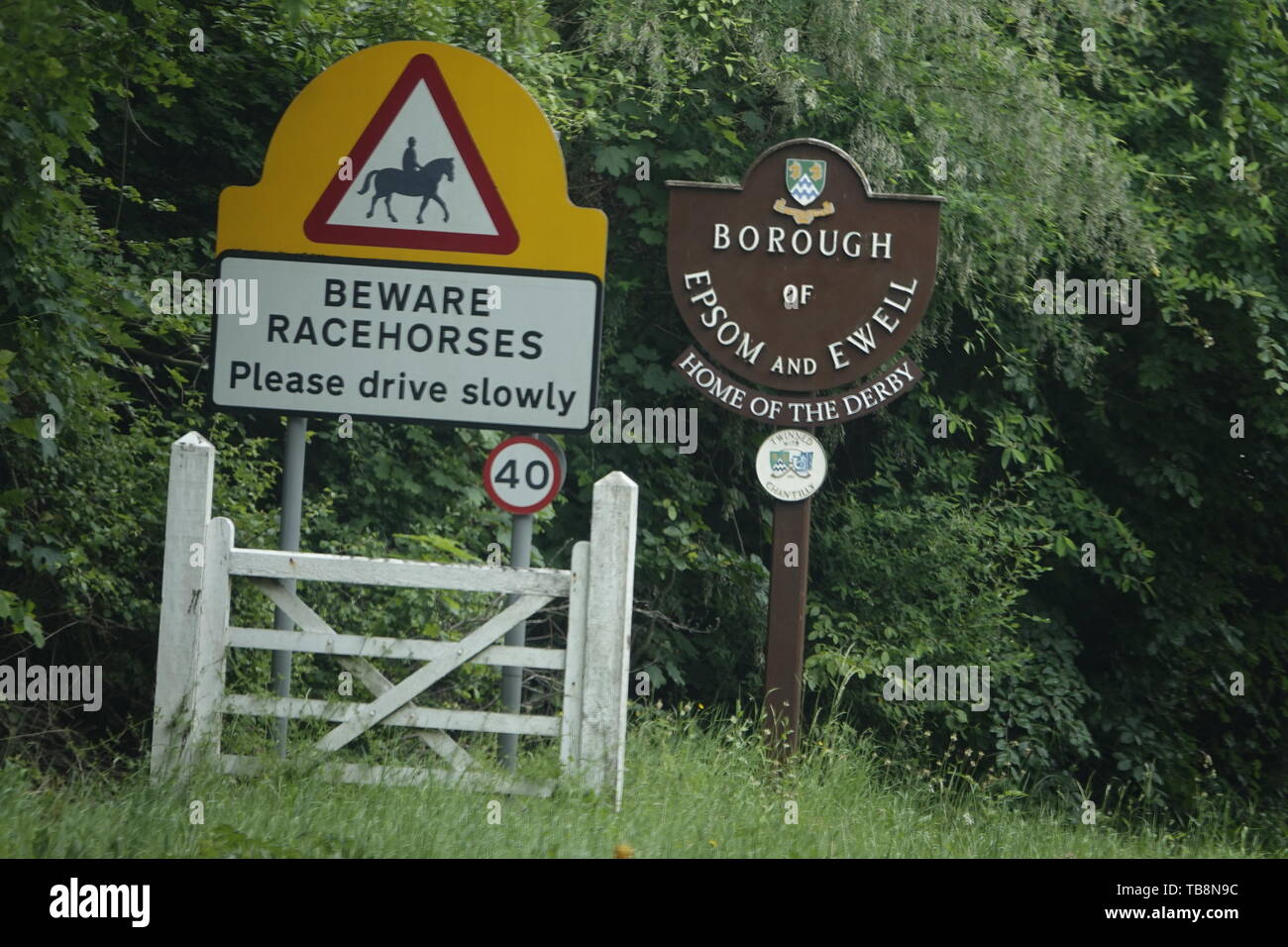 Epsom Downs, Surrey, UK. 31 mai, 2019. Des scènes de l'atmosphère les parieurs avant le début de course à l'Investec Derby Festival - sur Mesdames Jour, classic course de chevaux. Credit : Motofoto/Alamy Live News Banque D'Images