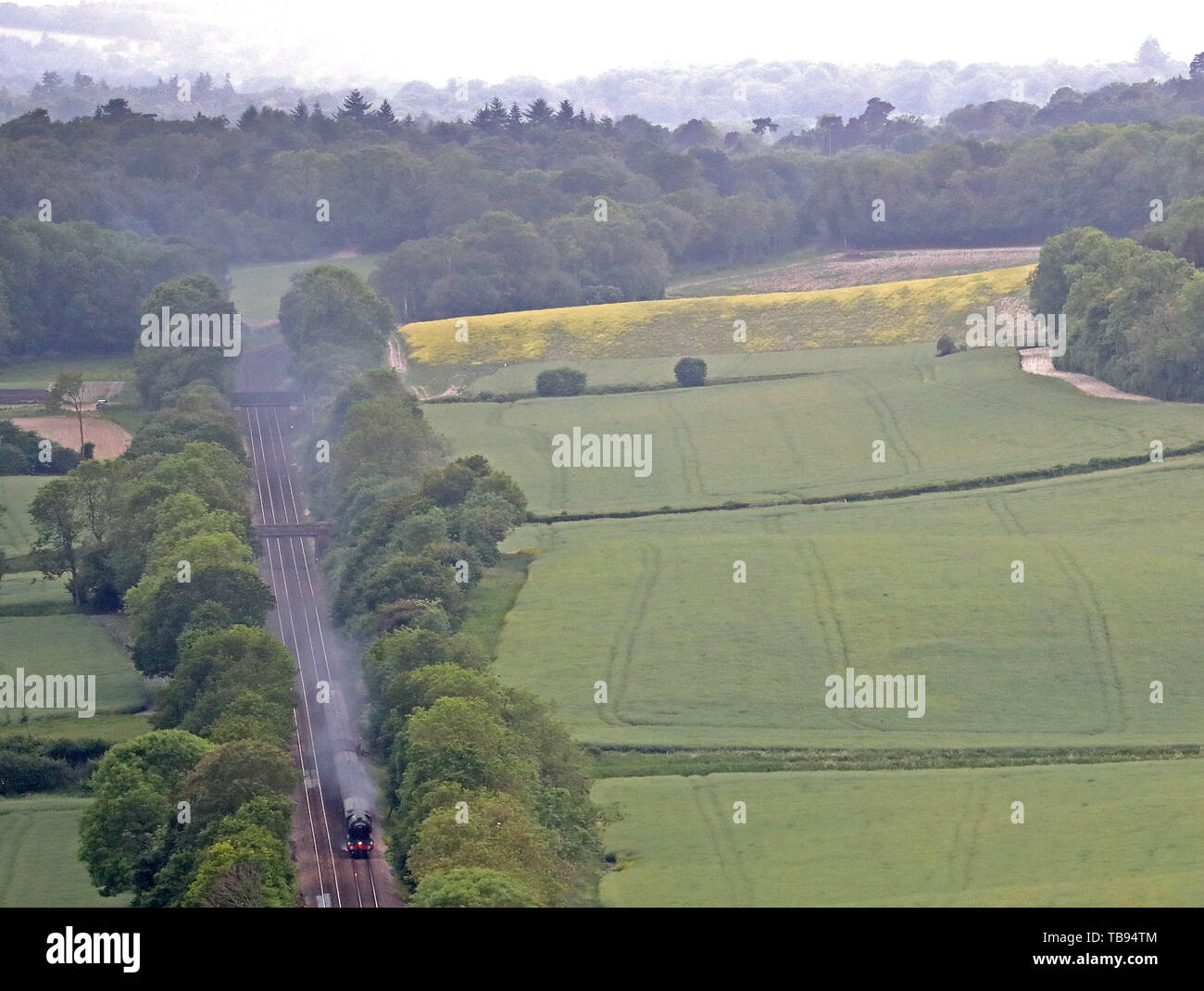 The Flying Scotsman locomotive à vapeur tire un train dans le National Trust's Denbies Hillside in Dorking lors d'une tournée de la Surrey Hills. Banque D'Images