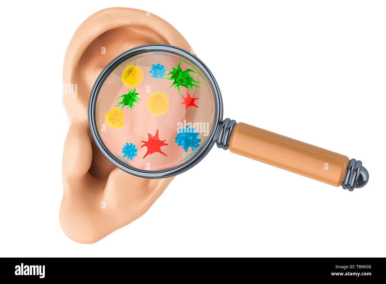 La recherche et le diagnostic des maladies des oreilles concept. Les droits de l'oreille avec les virus et bactéries sous loupe, rendu 3D isolé sur fond blanc Banque D'Images