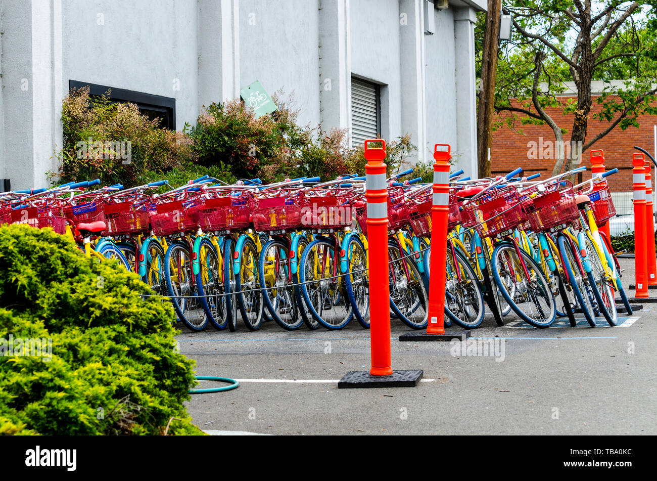 Des vélos Google dans la Silicon Valley de Californie Banque D'Images