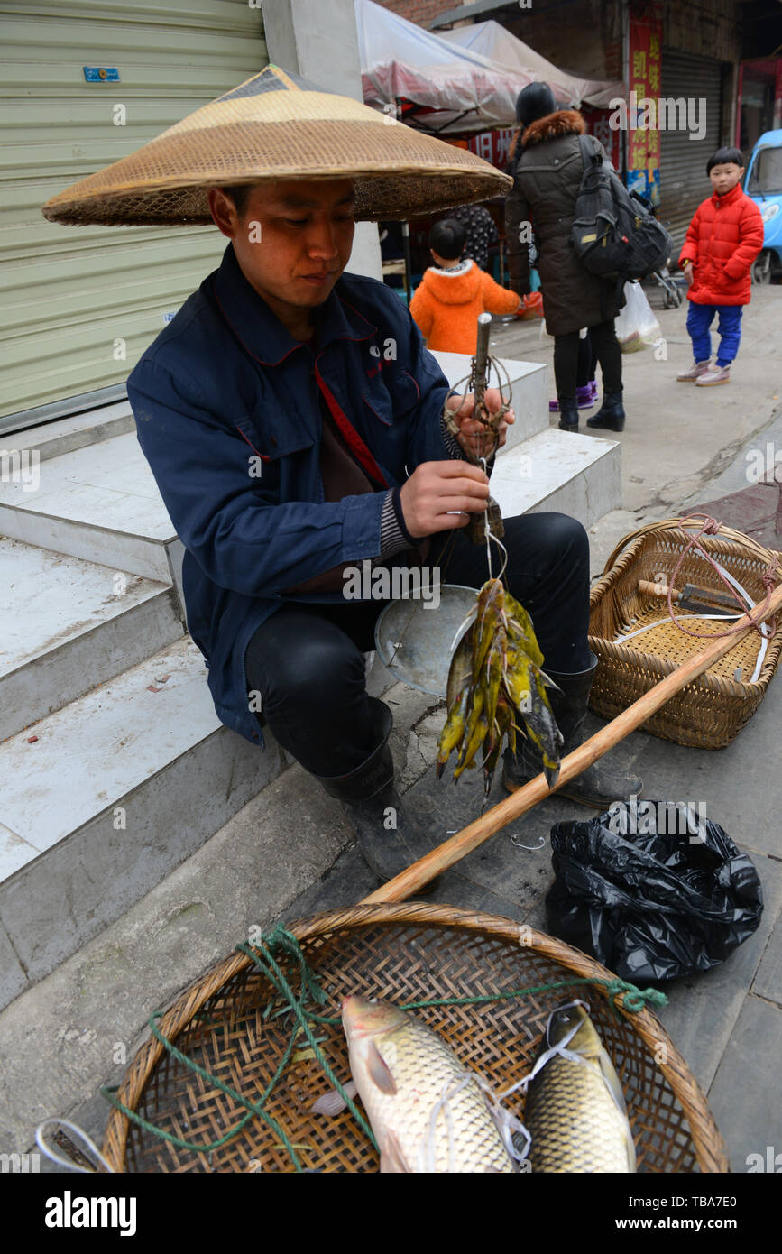 Un Chinois à la vente du poisson au marché de Kaili Guizhou. Banque D'Images
