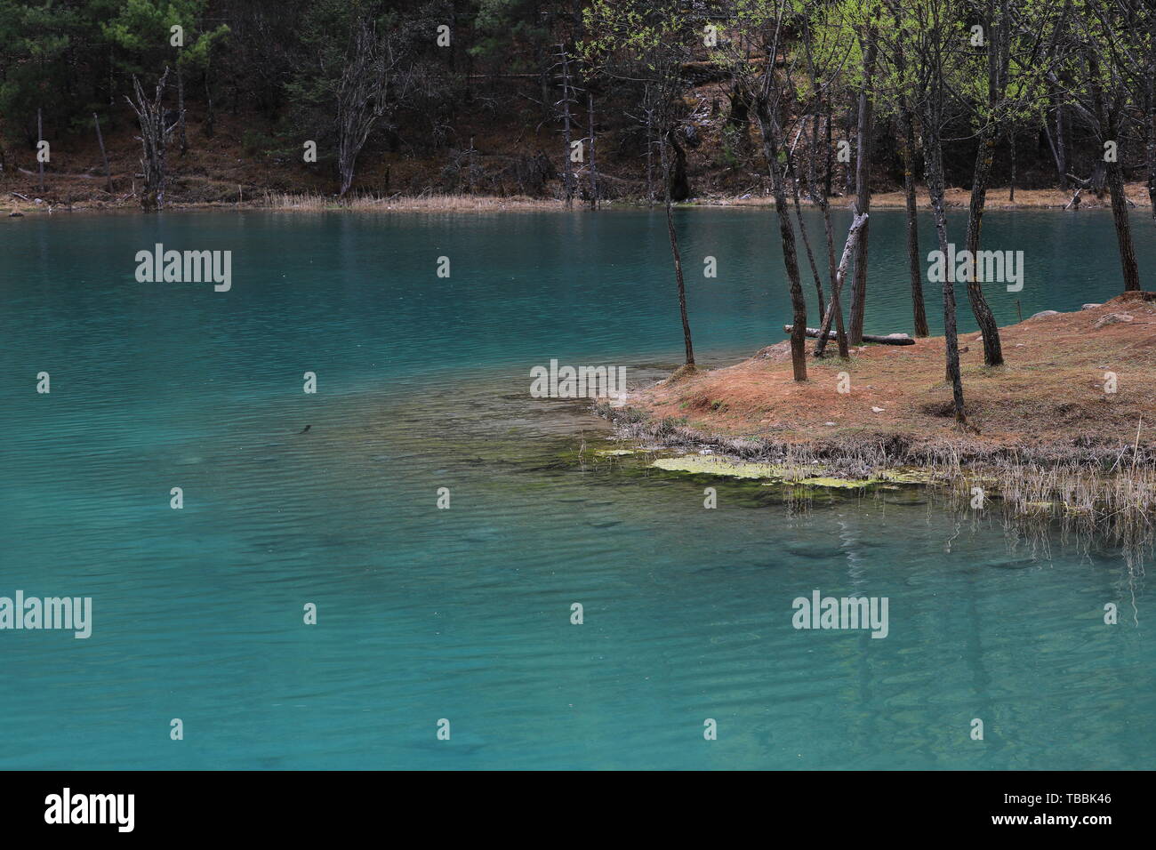 Blue Moon Valley Banque D'Images