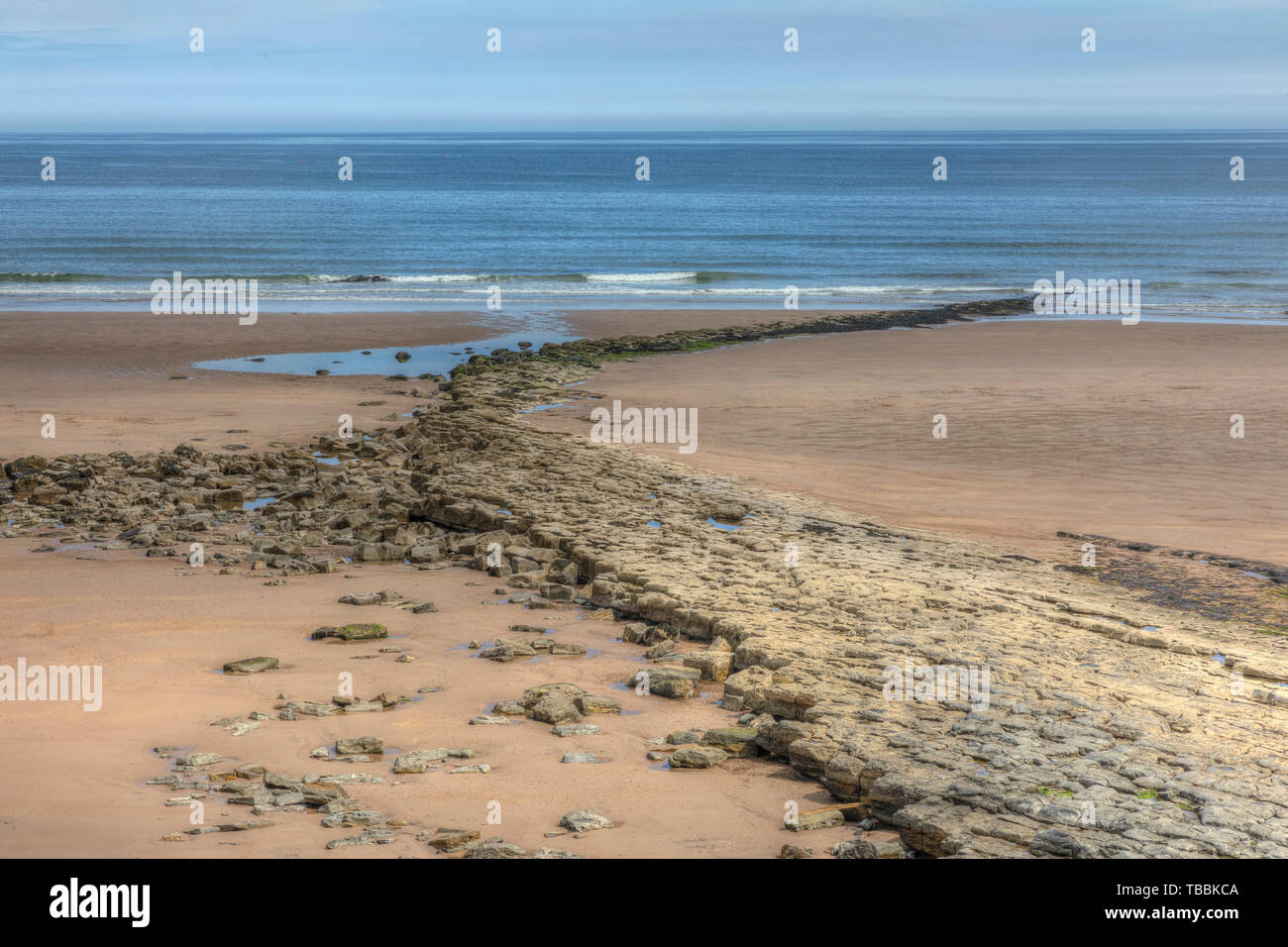 Scremerston, Northumberland, Angleterre, Royaume-Uni, Europe Banque D'Images