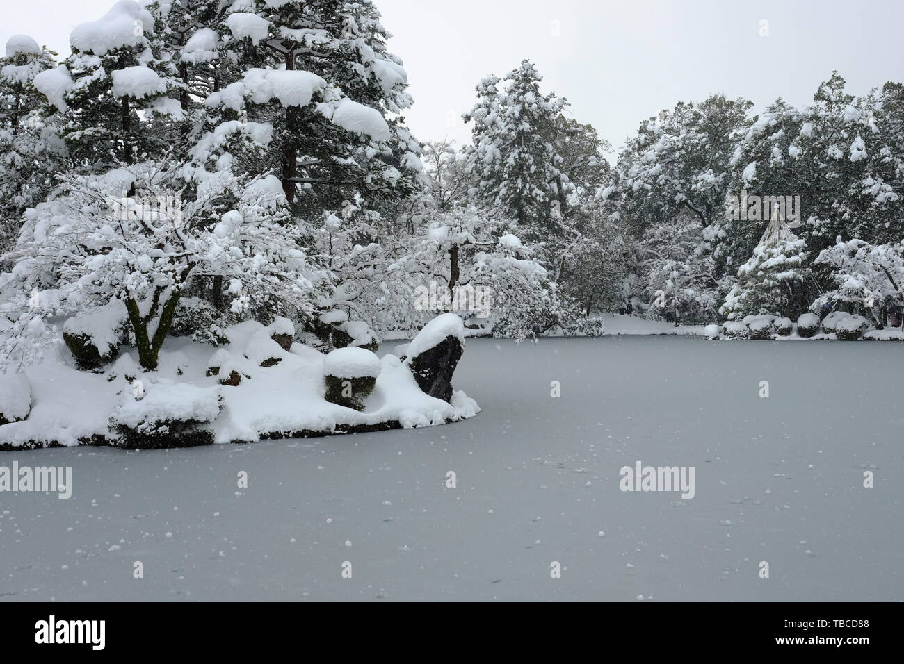 Le jardin Kenrokuen dans la ville de Kanazawa dans la neige de l'hiver Banque D'Images