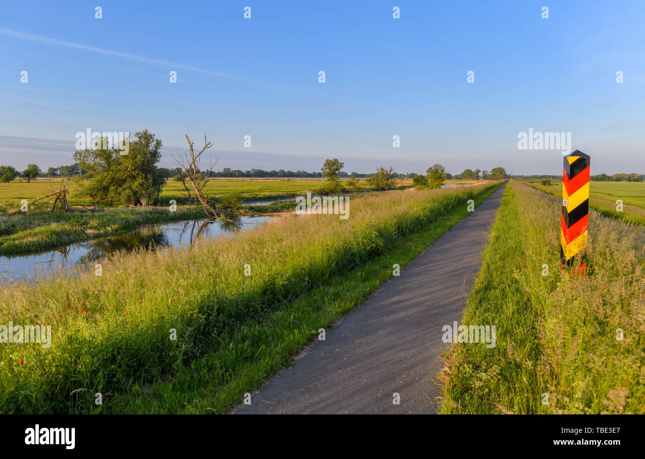 Reitwein, Allemagne. 31 mai, 2019. Chaude lumière brille peu après le lever du soleil sur le paysage sur le chemin du cycle d'Oder-Neisse sur une digue dans l'Oderbruch, près de la frontière germano-polonaise Oder. Crédit : Patrick Pleul/dpa-Zentralbild/ZB/dpa/Alamy Live News Banque D'Images