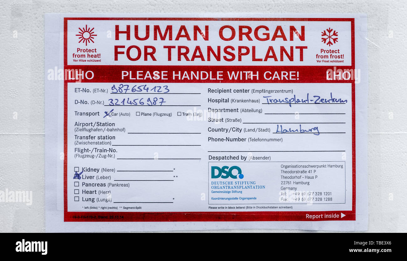Kiel, Allemagne. 01 Juin, 2019. Un autocollant avec l'inscription "pour la transplantation d'organes humains" s'en tient à une glacière pour le transport d'organes des donneurs. Le ministre fédéral de la Santé, s'ouvre aujourd'hui à l'échelle nationale, Spahn Jour du don d'organes sous la devise "DROIT. Important. Vital." Photo : Markus Scholz/dpa/Alamy Live News Banque D'Images