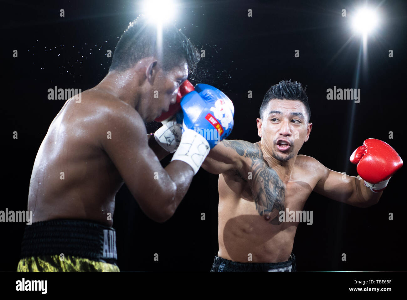 Macao. 1er juin 2019. Stevan Marcal Gago (R) de l'Australie est en concurrence au cours de la Pan Pacific match mi-moyens avec Adam Cagas Abdulhamid des Philippines à l'IBF Super championnat 2019 Gala à Macao, Chine, le 1 juin 2019. Credit : Cheong Kam Ka/Xinhua/Alamy Live News Banque D'Images