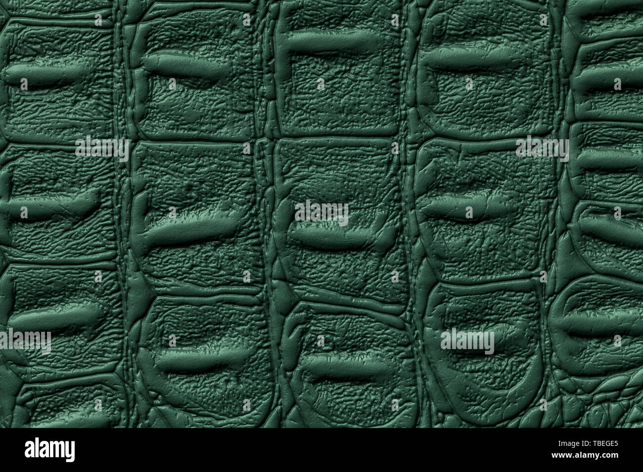 Texture de cuir vert foncé, fond libre. Peau de reptile d'Émeraude, macro. La structure de la nature du textile. Toile décorative crocodile de luxe. Banque D'Images