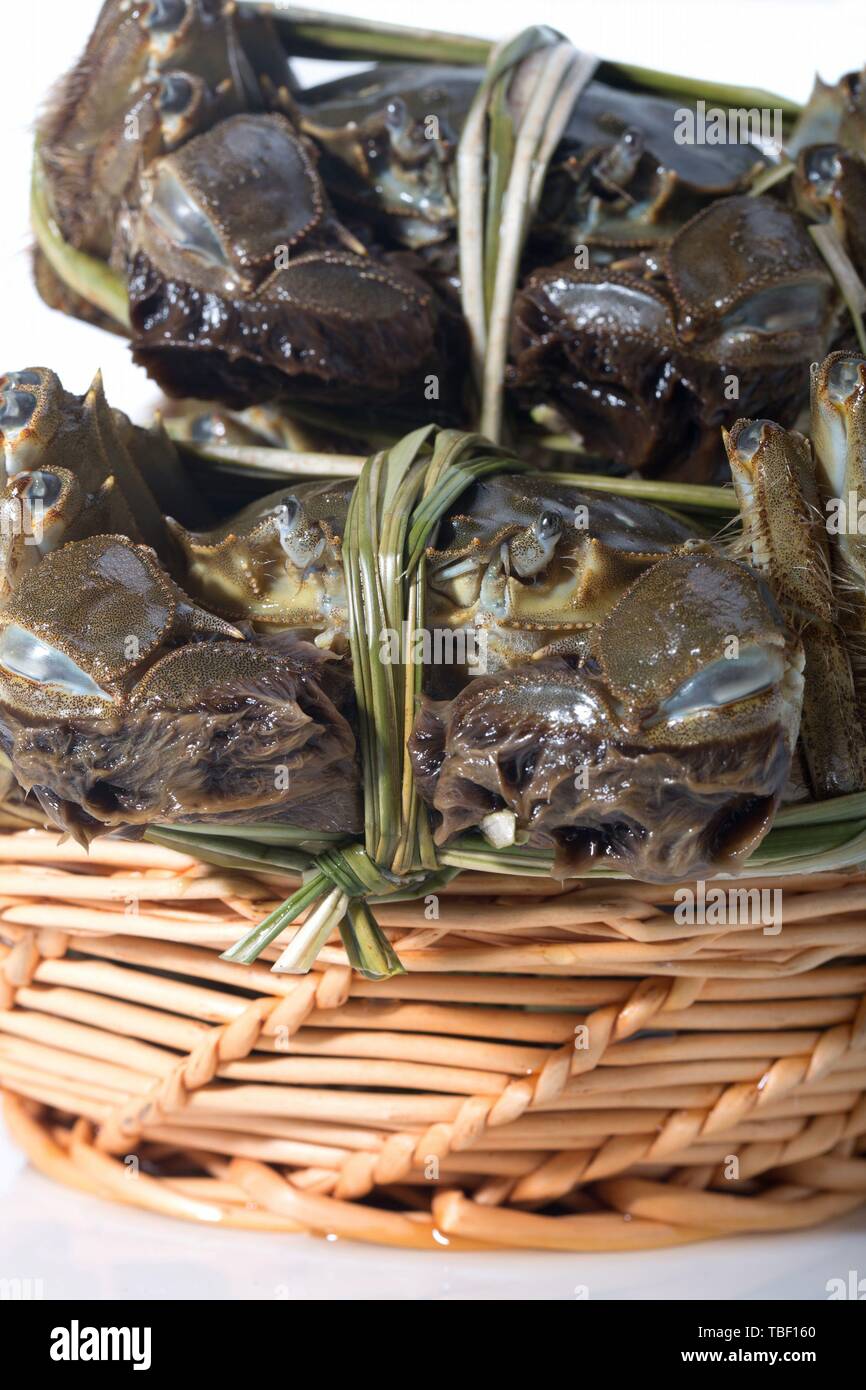 crabe Banque D'Images