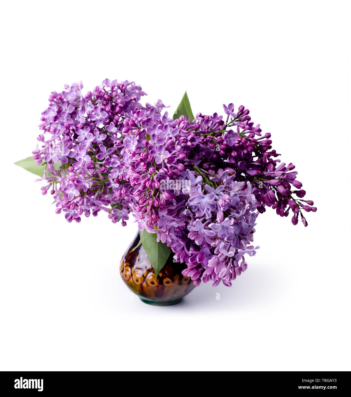 Bouquet de belles fleurs lilas frais. Fleurs lilas mauve et blanc dans un vase contre fond blanc. Banque D'Images