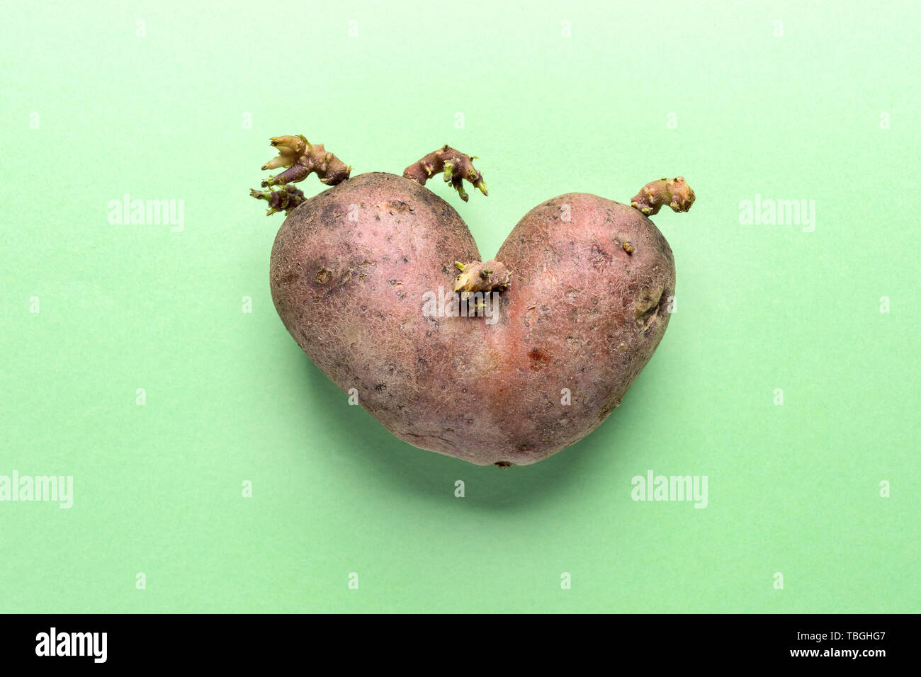 Laid non standard en forme de coeur une pomme de terre sur fond vert. Banque D'Images