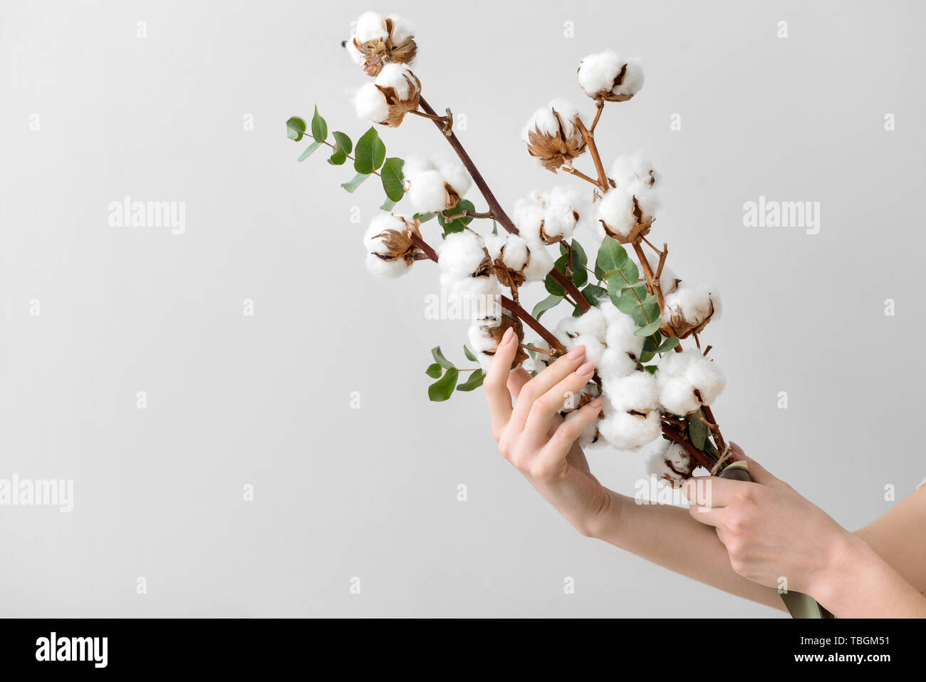Les mains tenant composition florale avec fleurs de coton sur fond clair Banque D'Images