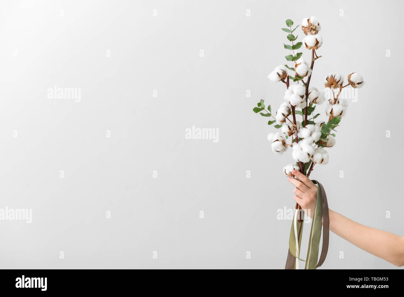 Femme hand holding composition florale avec fleurs de coton sur fond clair Banque D'Images