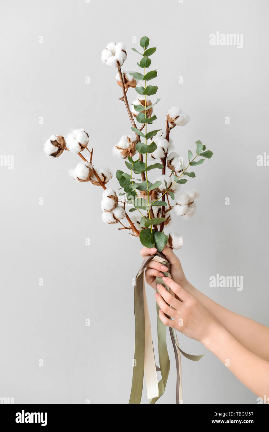 Les mains tenant composition florale avec fleurs de coton sur fond clair Banque D'Images