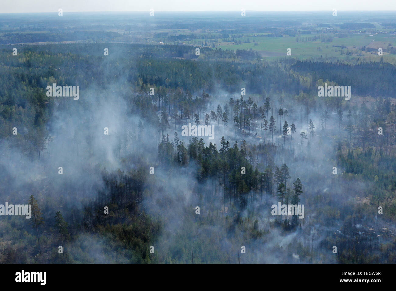 Drone image du feu de forêt juste au nord de Söderköping, Suède. Banque D'Images