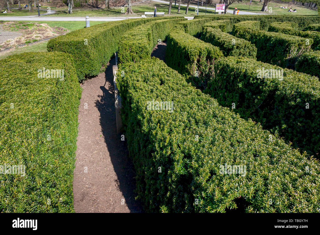 Labyrinthe de brousse Banque de photographies et d’images à haute résolution Alamy