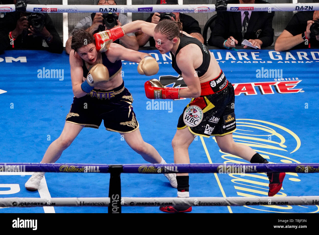 New York, USA. 1er juin 2019. KATIE TAYLOR (violet et or) trunks et DELFINE PERSOON bataille dans un monde incontesté Lightweight Championship (WBA, WBC, IBF, WBO & RING) bout au Madison Square Garden de New York. Crédit : Joel Plummer/ZUMA/Alamy Fil Live News Banque D'Images