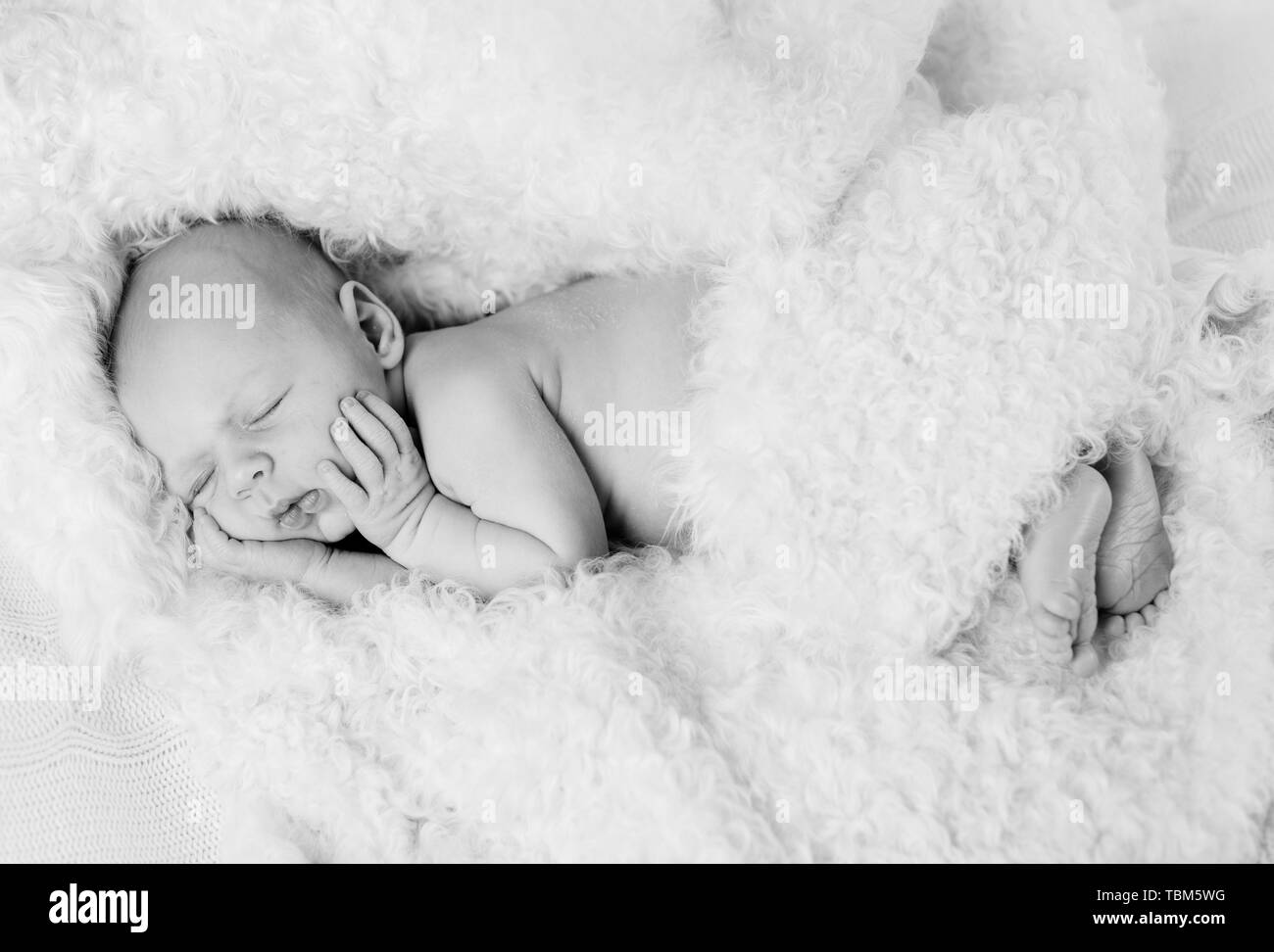 Portrait d'un nouveau-né 12 jours baby boy Banque D'Images