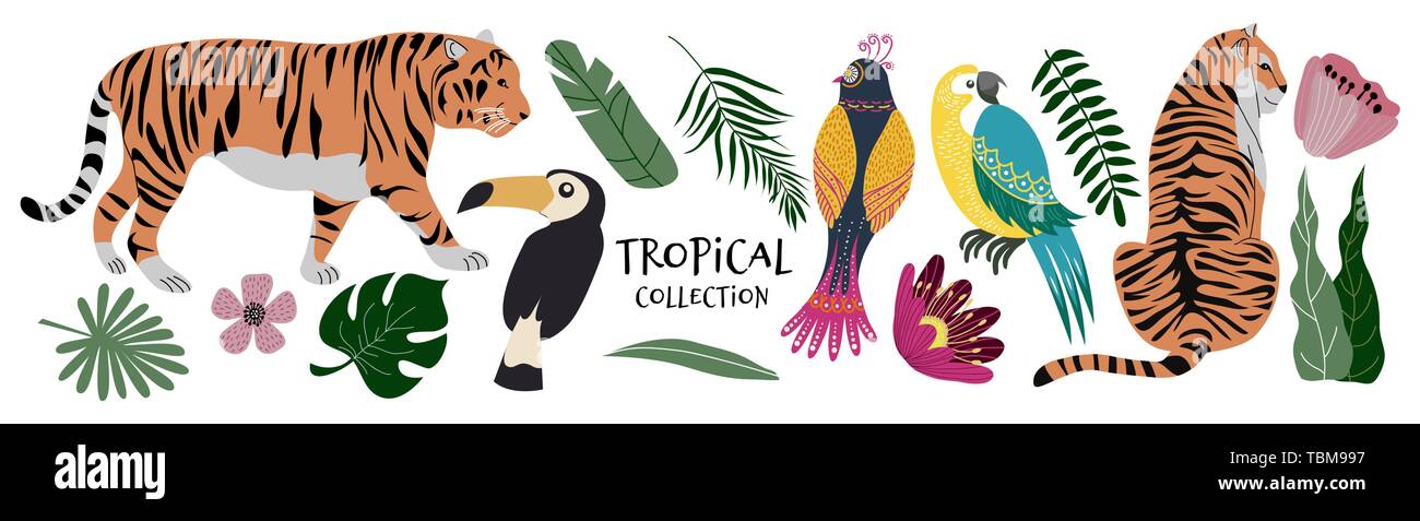 Collection tropicale fleurs exotiques, de feuilles, d'oiseaux et des tigres. Télévision Cute Vector éléments isolés sur le fond blanc Illustration de Vecteur
