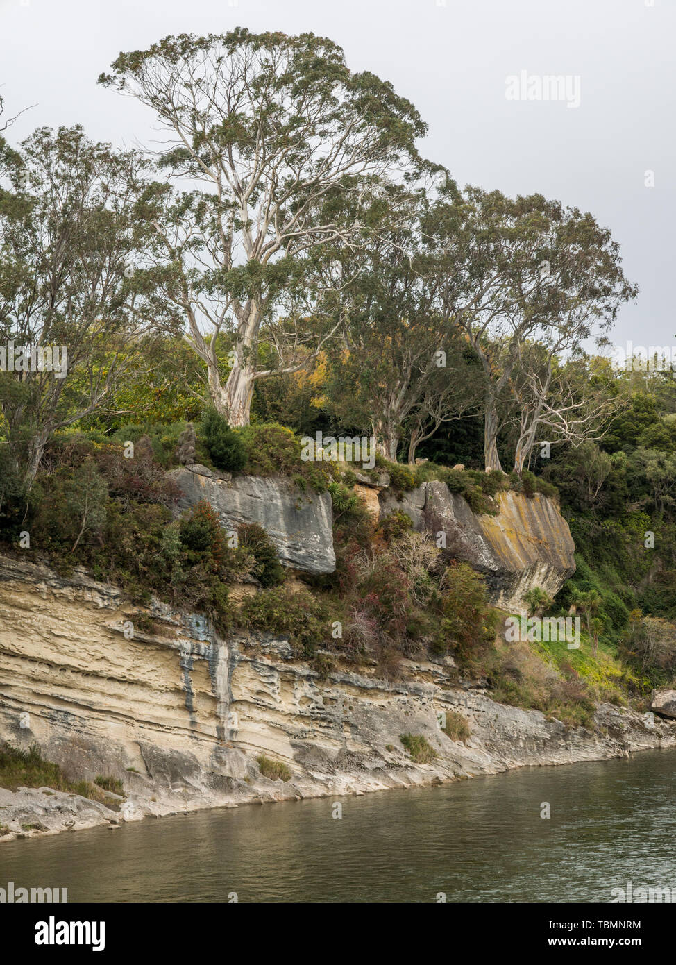 Waiau River, de Clifden, pont suspendu, d'eucalyptus et d'une falaise de grès, placid, à l'automne, Southland, Nouvelle-Zélande Banque D'Images