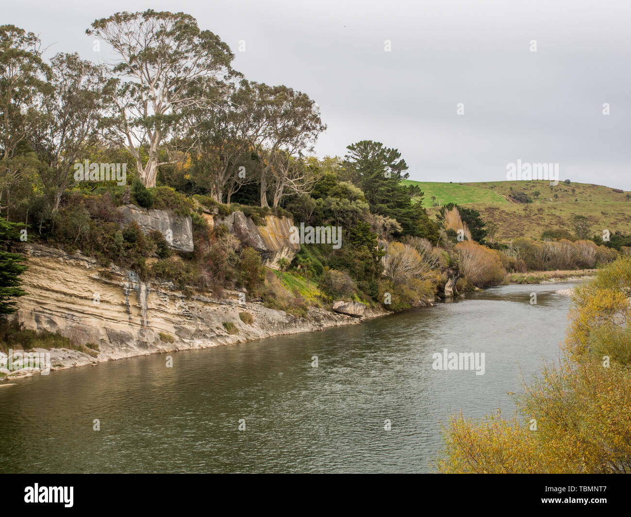 Waiau River, de Clifden, pont suspendu, d'eucalyptus et d'une falaise de grès, placid, à l'automne, Southland, Nouvelle-Zélande Banque D'Images