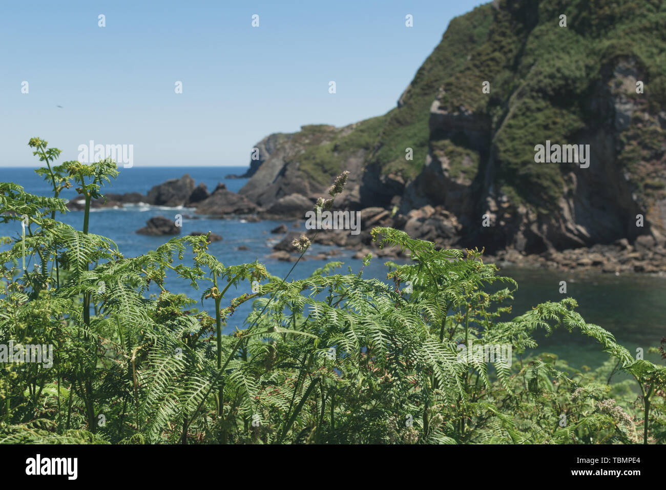 Dans les falaises de la côte du nord de l'Espagne Banque D'Images