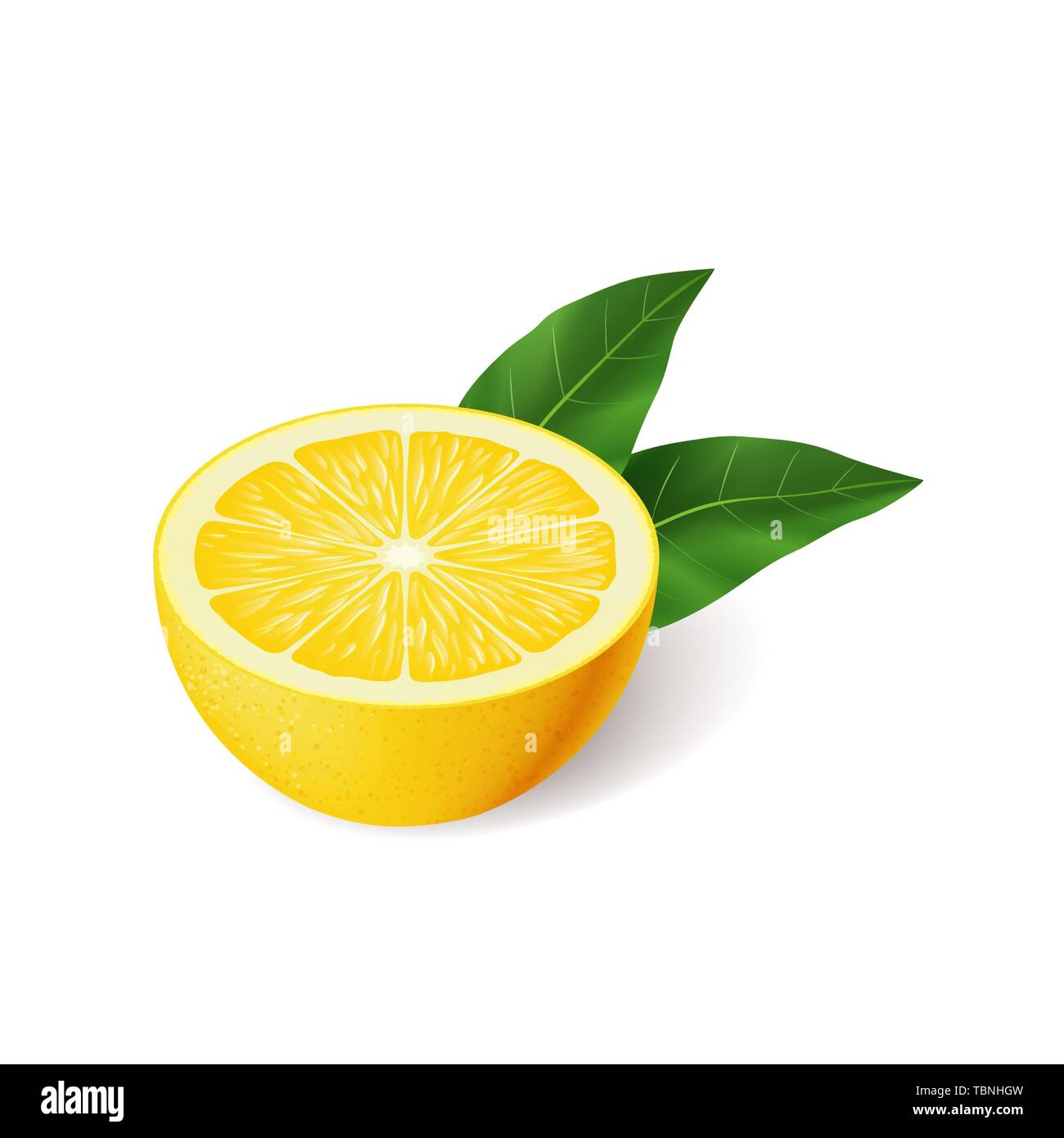 Citron jaune vif réaliste avec la moitié de la feuille verte vecteur en tranches Illustration de Vecteur