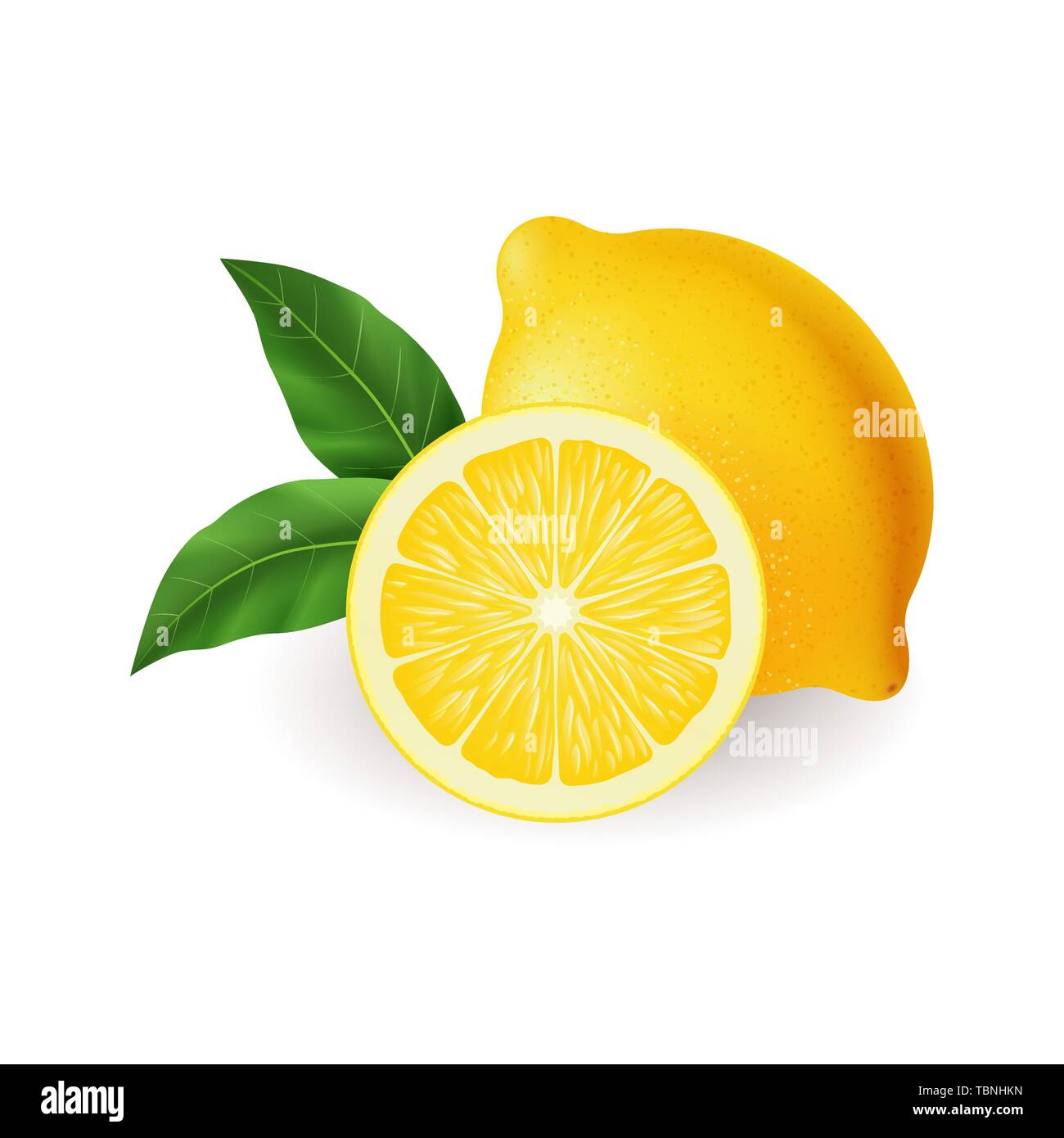 Citron jaune vif réaliste avec feuille verte vecteur entières et tranchées Illustration de Vecteur