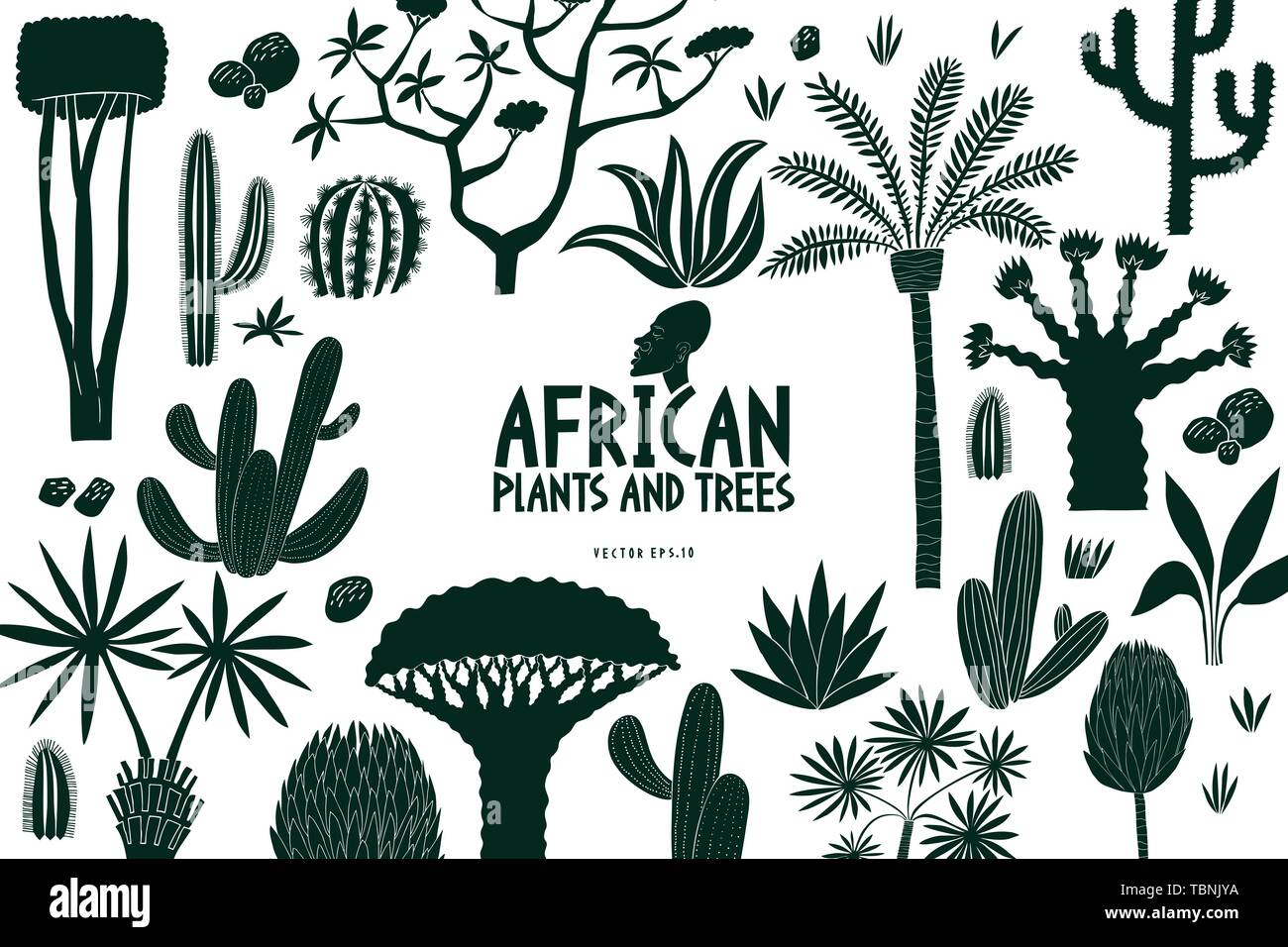Fun dessinés à la main, les plantes et les arbres d'Afrique modèle de conception. Fond botanique. Cactus, palmiers, arbres exotiques vector illustration. Linogravure style. Illustration de Vecteur