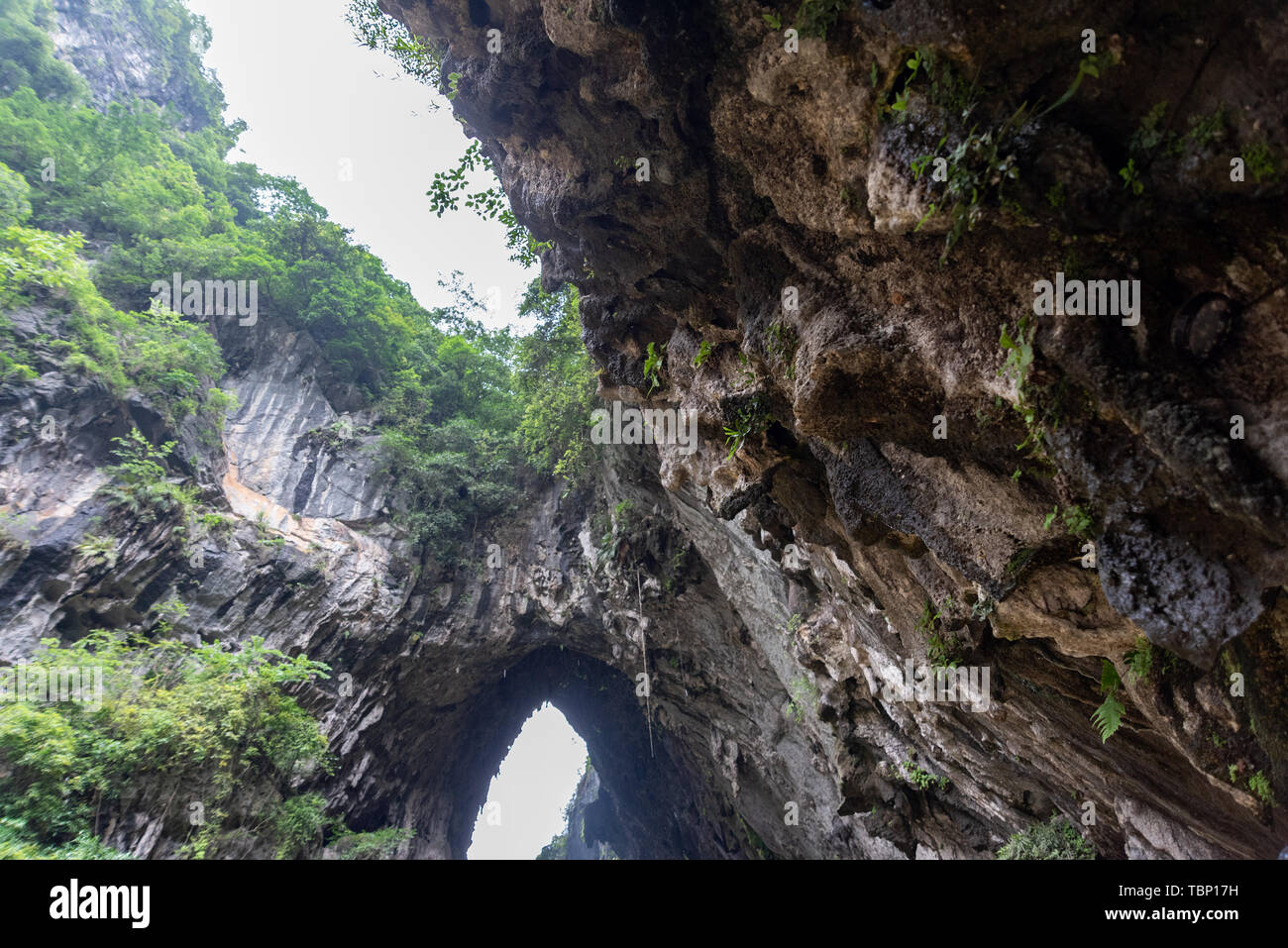 Dongtian Wonderland, Ying Xifeng Corridor forestier, Qingyuan, Guangdong Banque D'Images