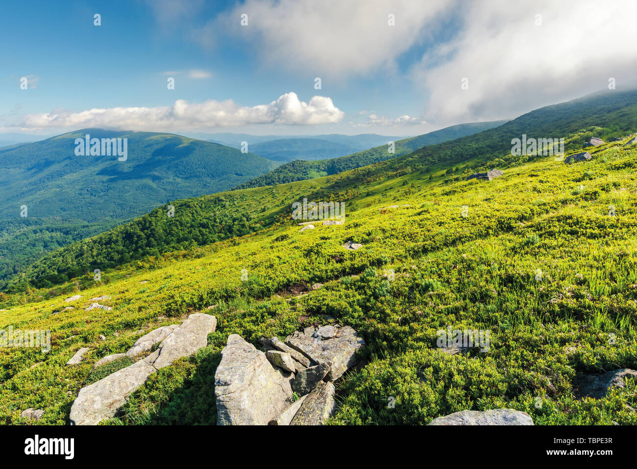 Rochers sur la colline herbeuse. beau paysage par beau matin d'été. faible fluffy clouds hang on the mountain top Banque D'Images